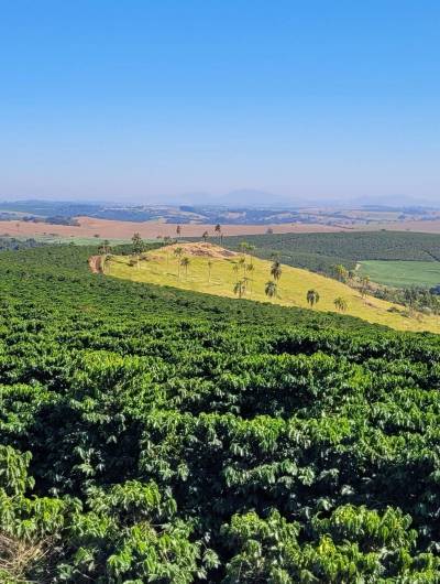 Trip to Fazenda Monte Alegre: a unique experience in the heart of Minas Gerais