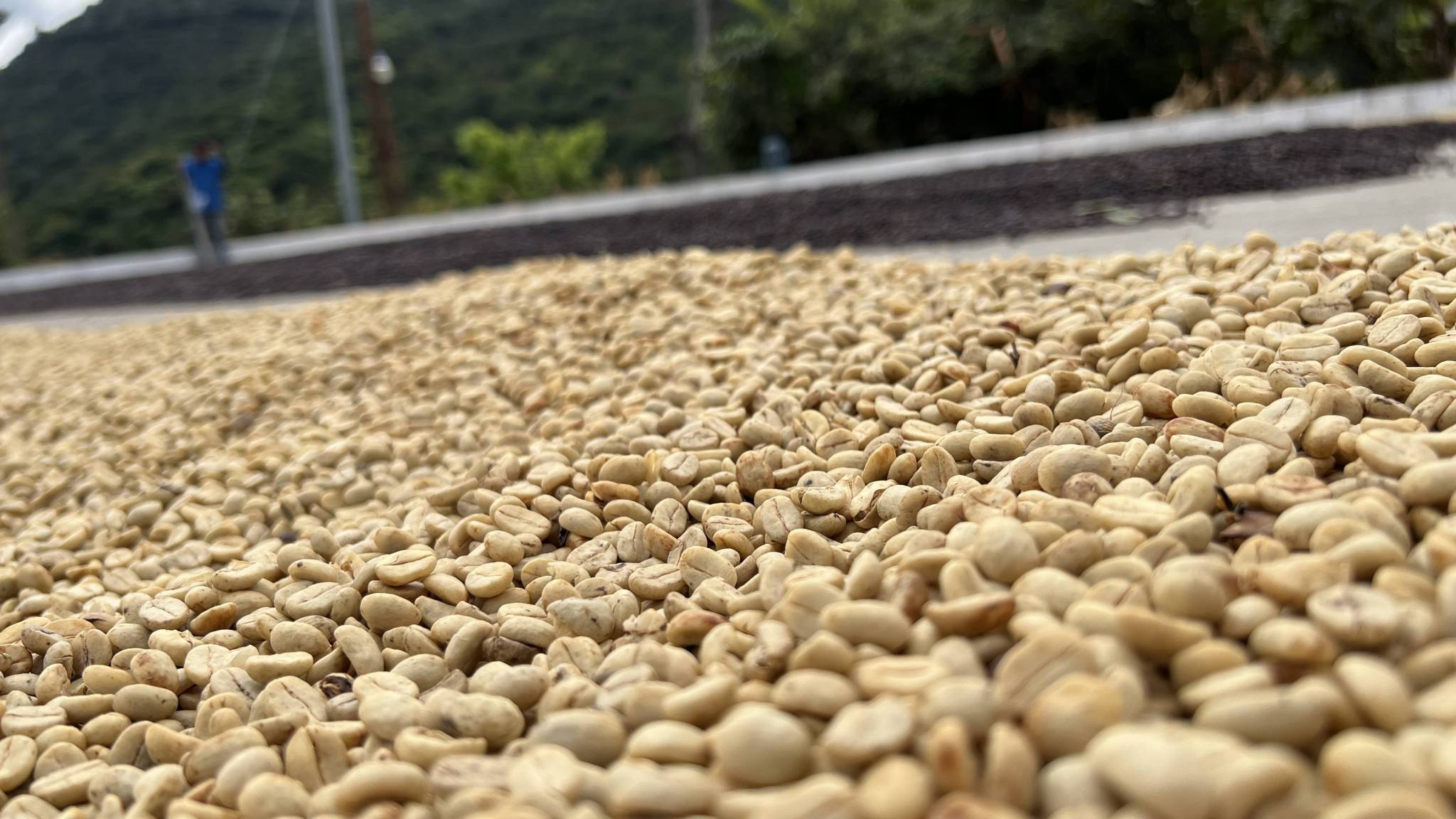 How this coffee is produced
