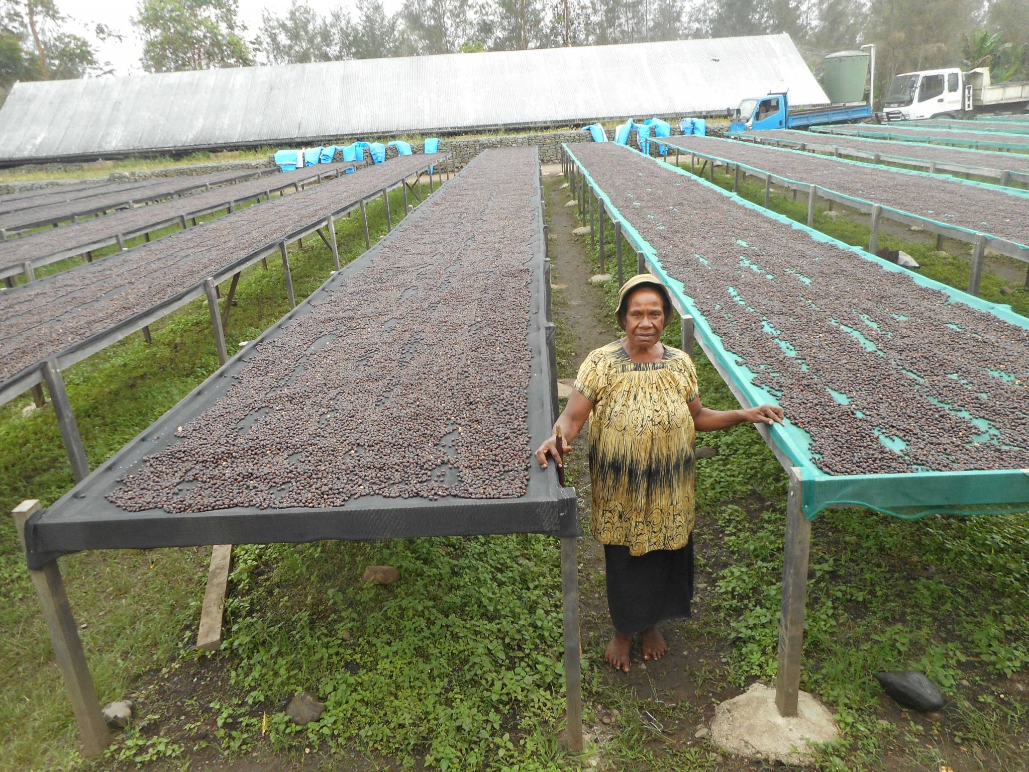 Where does the coffee we have selected originate?