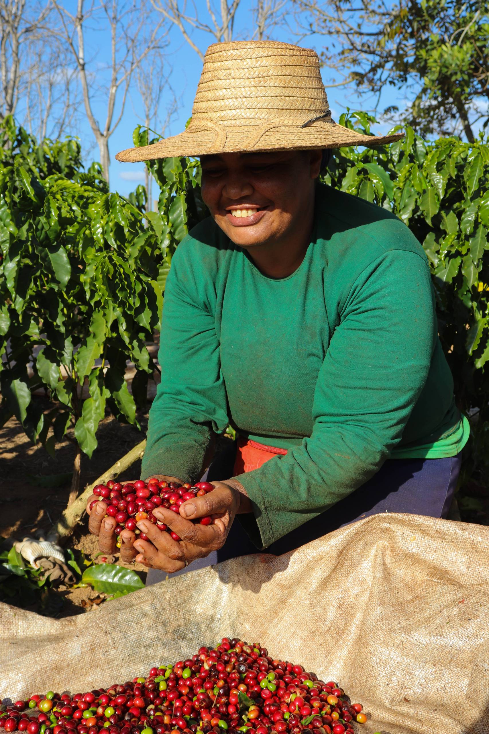 How is this coffee produced?