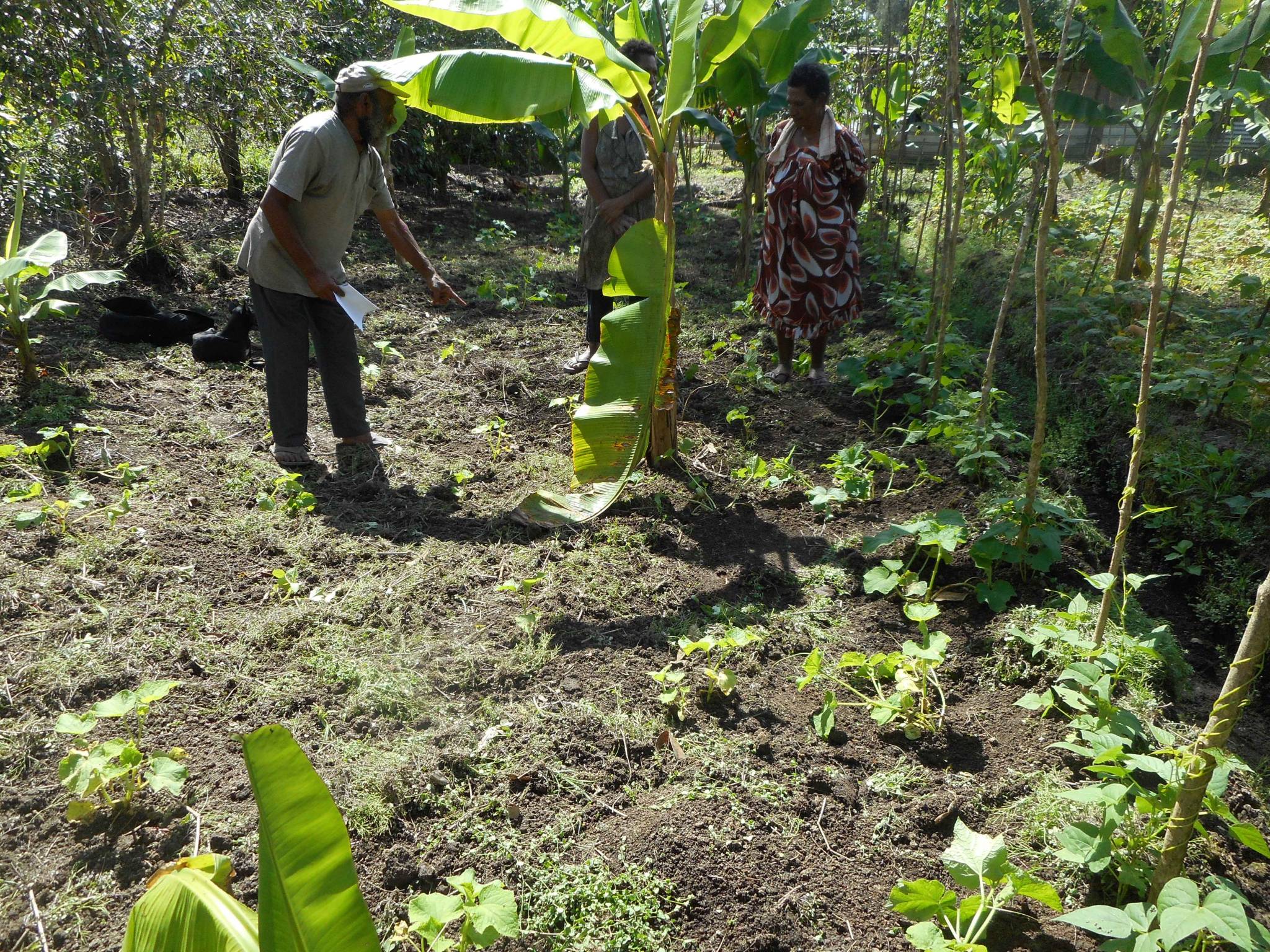 Our days on the plantation in a remote region of Papua New Guinea