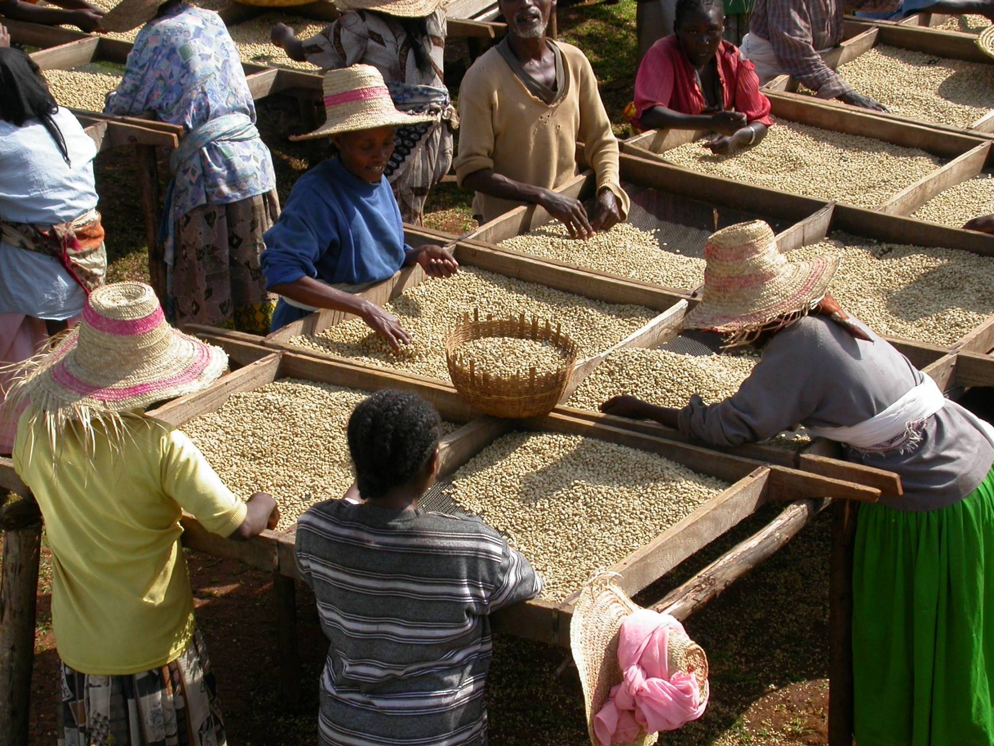 How is this coffee produced