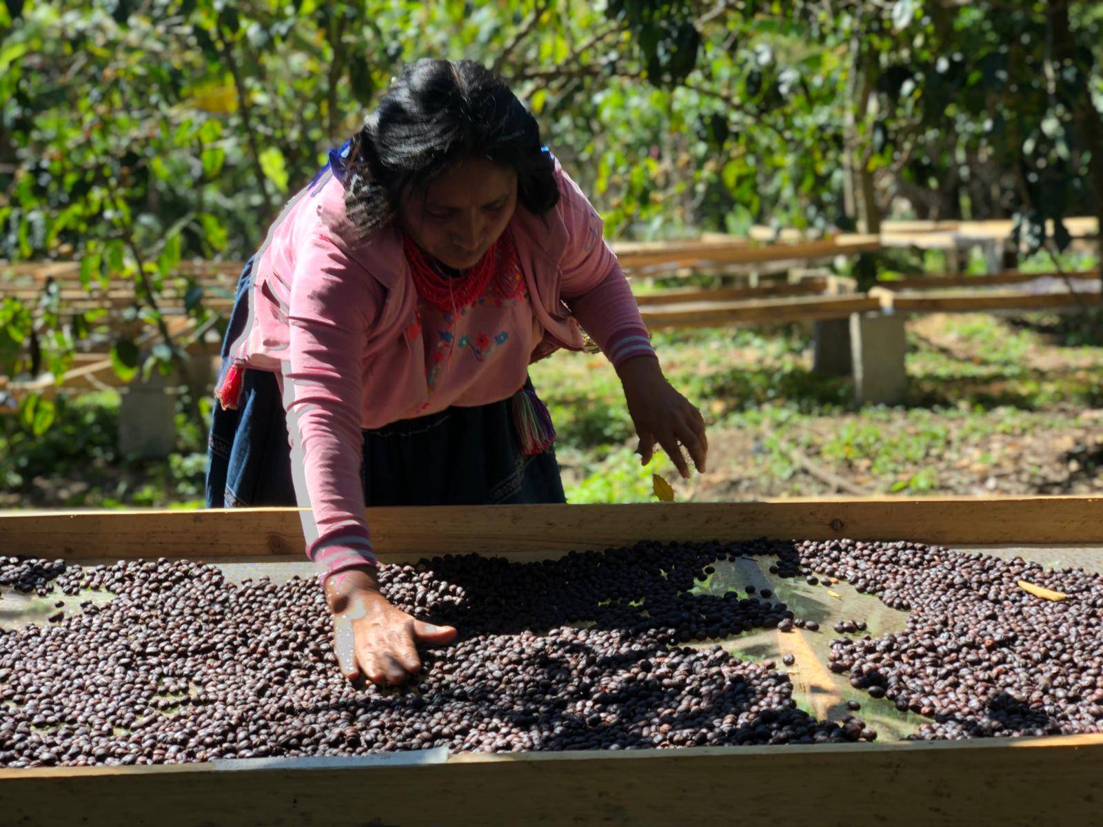 Micro producers in the land of the Maya