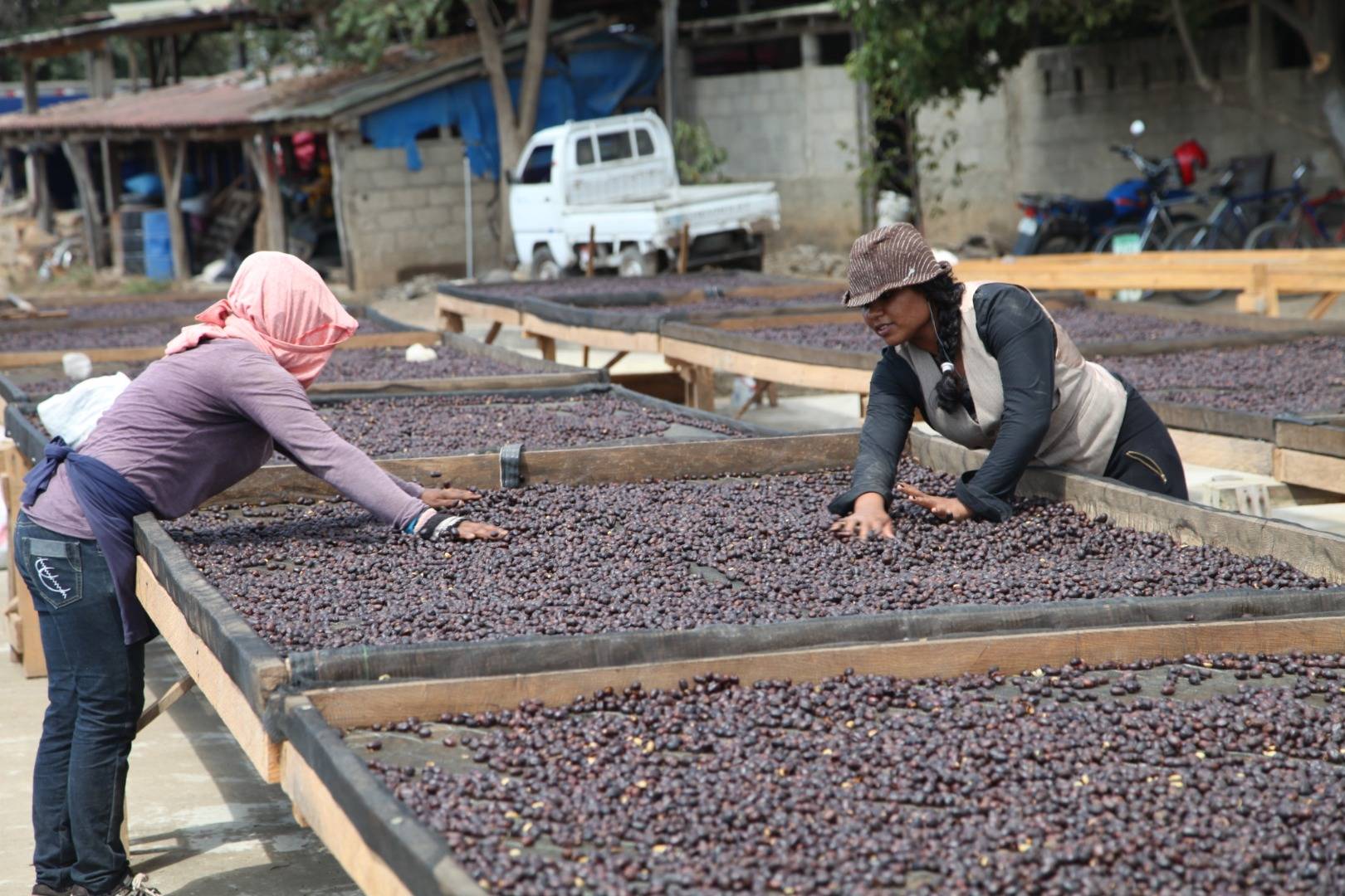 How is this coffee produced