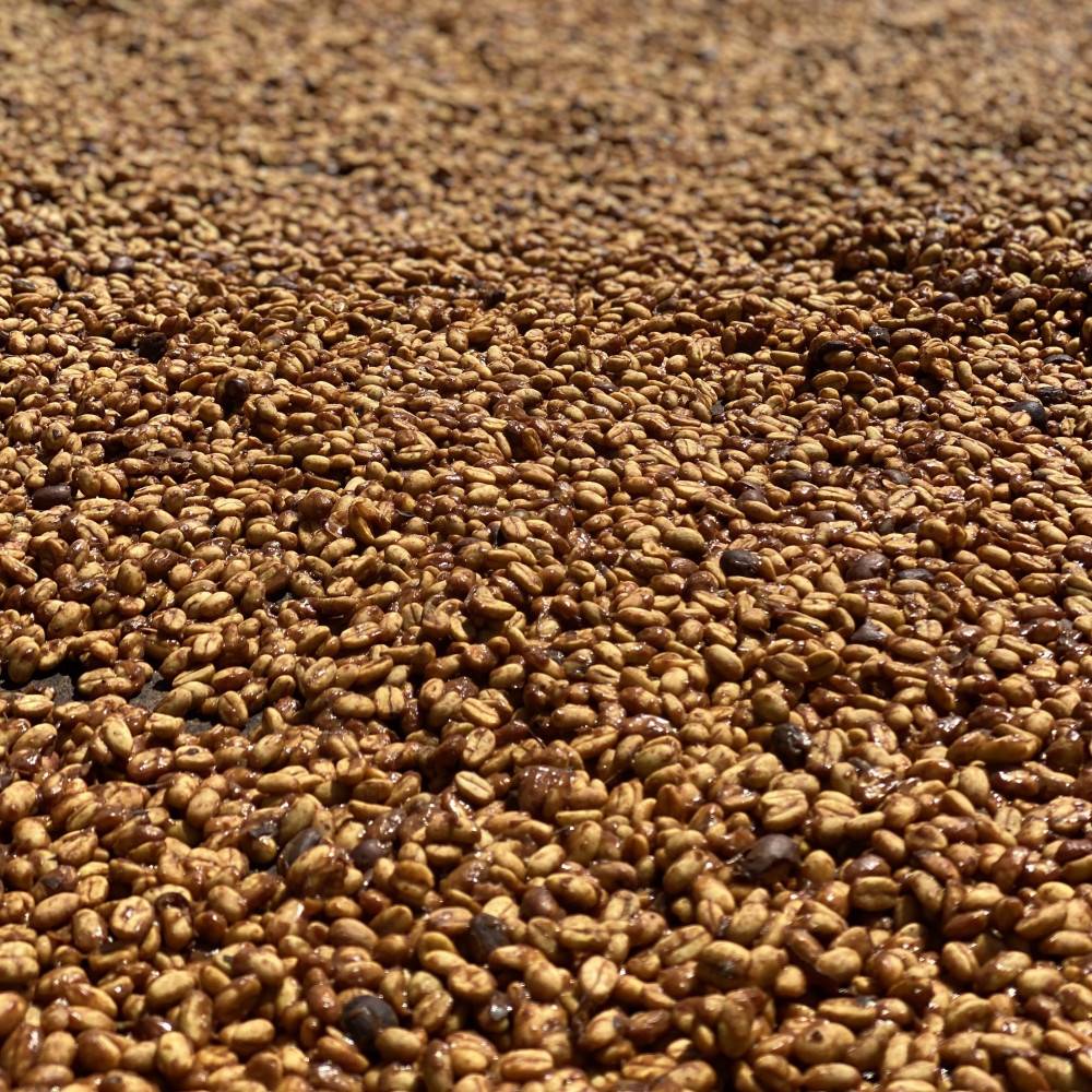 How is this coffee produced