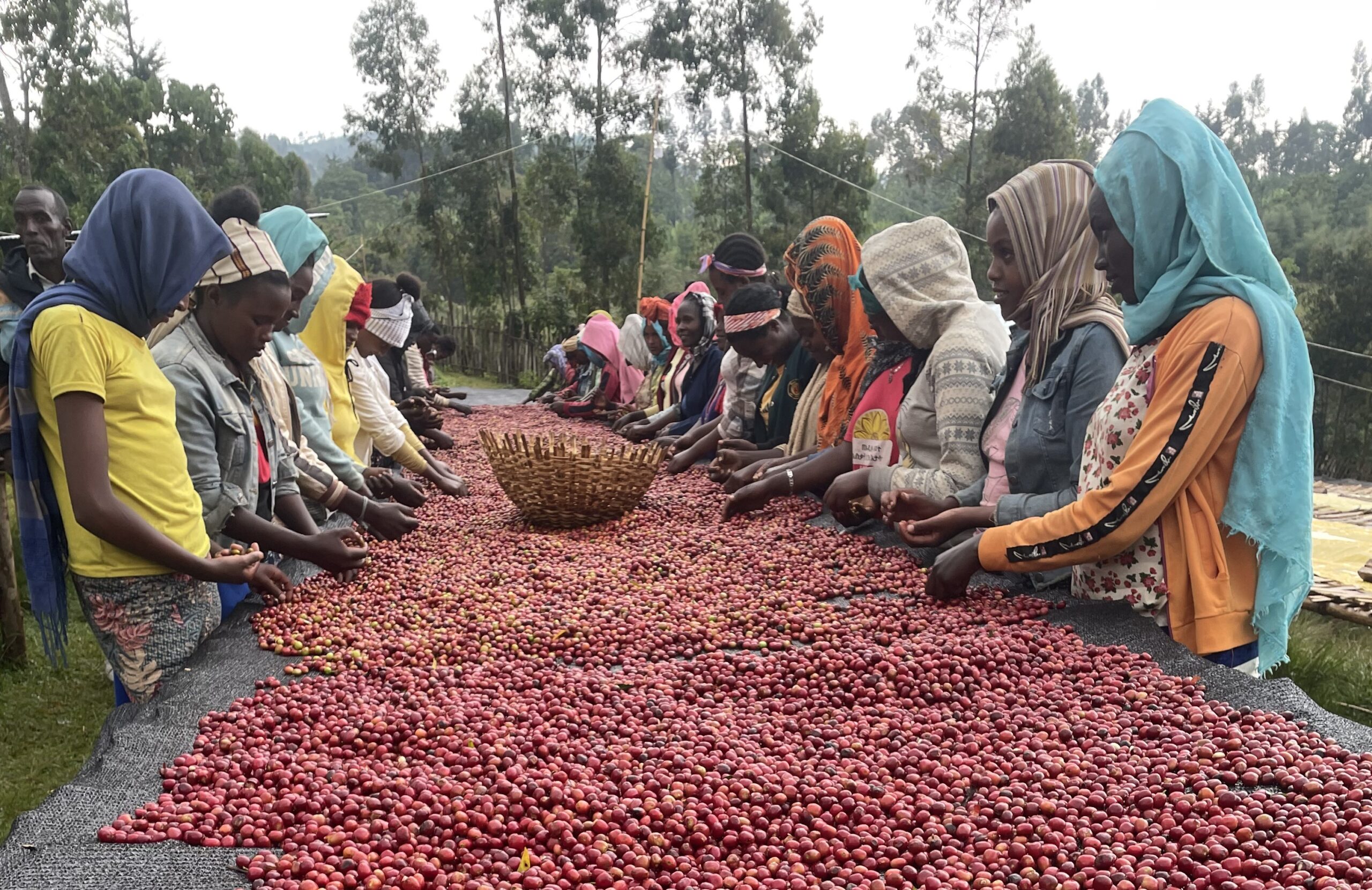 Living Tradition of Sidamo