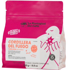 Cordillera del Fuego