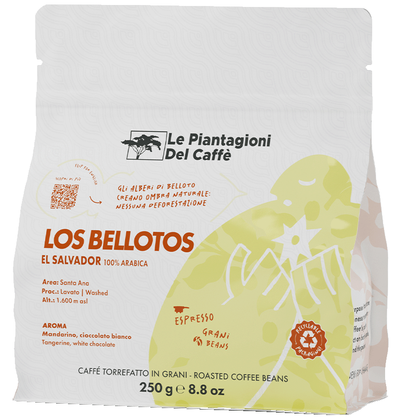 Los Bellotos - Pacco di caffè Specialty in grani di Singola Piantagione, 100% Arabica per Espresso da El Salvador in formato da 250g